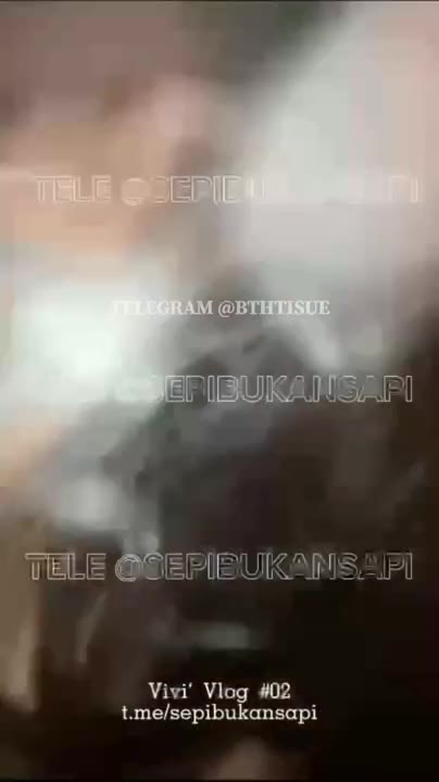 SepiBukanSapi 4